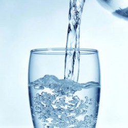 お水はどれくらい飲めばいいの？